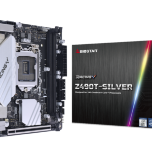 Biostar Z490T-SILVER Motherboard