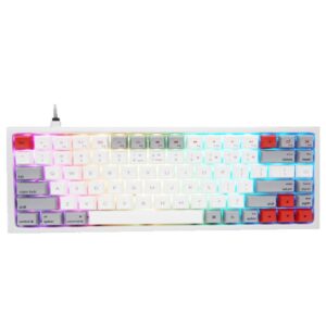 Skyloong SK84 80% Mechanical Fully Programmable RGB Keyboard | PBT Retro | Brown Switches
