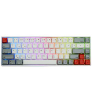 Skyloong SK68 65% Mechanical Fully Programmable RGB Keyboard | PBT Retro | Brown Switches